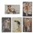 Vintage 1940s Pinup Girls Arcade Card Collection Photograph Prints - Set of 5 For Sale
