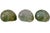 Set of three nautical aqua lime green natural turbo beach sea shell with striations of teal, turquoise, lime green and...