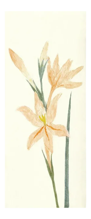 Hubbard Flower 4009 Artwork, Unframed Artwork