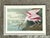 Wood Vintage Audubon Print of Pink Spoonbill For Sale - Image 7 of 12