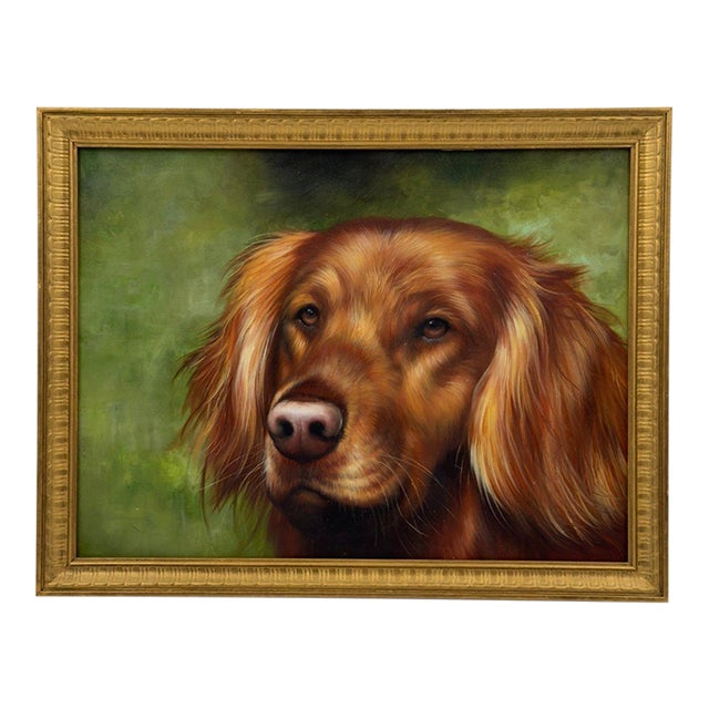 David Coalburn Original Oil Painting Golden Retriever Portrait “Eyes of Christy” For Sale