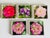 6” by 6” Lucite squares with blooming flowers and roses.