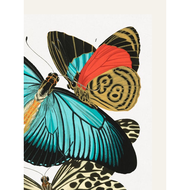 Art Deco Butterflies (E. A. Séguy), Vintage Art Print Reproduction, 18" × 24" For Sale - Image 3 of 6