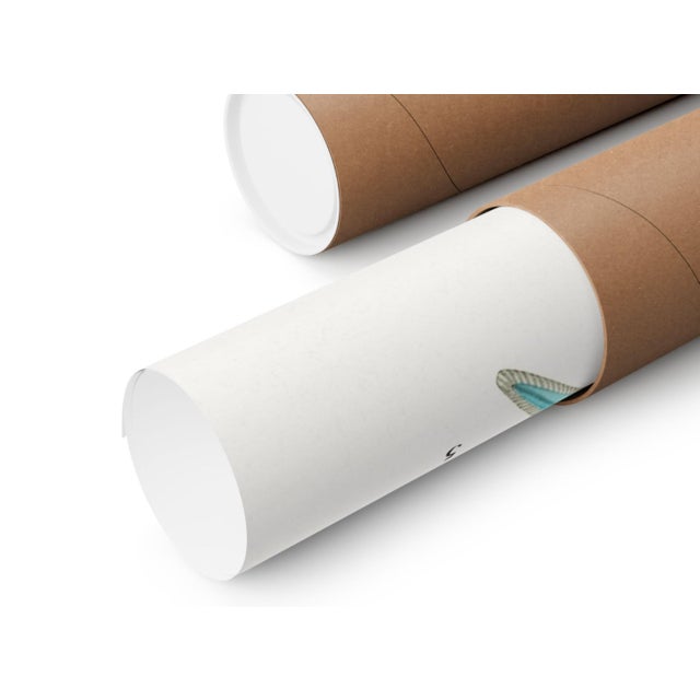 Vintage Butterfly Illustration, Art Deco Insect Print Reproduction, 1925, 18" × 24" For Sale In Buffalo - Image 6 of 6