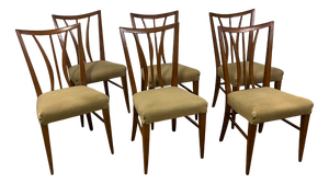 Bentwood Chairs from Tempestini, 1950s, Set of 6