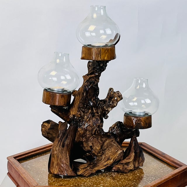 Late 20th Century Large Varnished Driftwood and Hurricane Glass Candelabra For Sale - Image 5 of 6