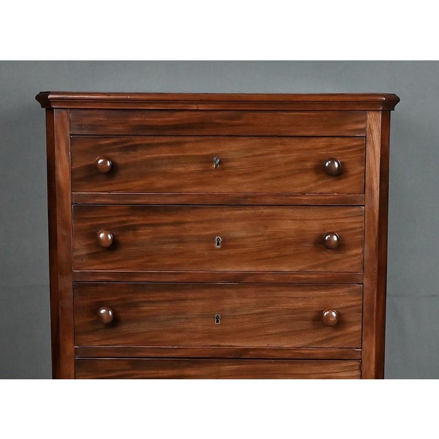 Wood Late 19th Century Mahogany Chest of Drawers For Sale - Image 7 of 18