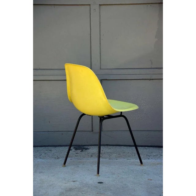 Plastic 1960s Vintage Eames Chairs by Herman Miller - Set of 4 For Sale - Image 7 of 11