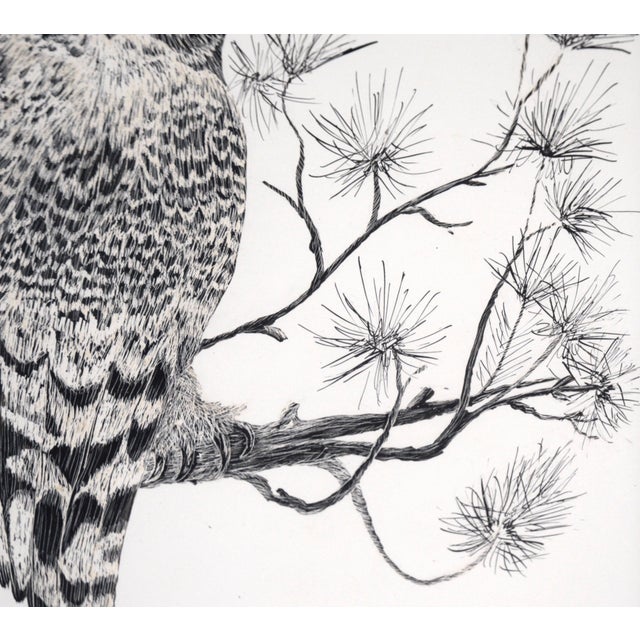 Contemporary Great Horned Owl Sitting on a Branch - Illustration in Ink on Cardstock by M. Kochmaruk For Sale - Image 3 of 7