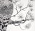 Contemporary Great Horned Owl Sitting on a Branch - Illustration in Ink on Cardstock by M. Kochmaruk For Sale - Image 3 of 7