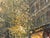 Wood 20th Century Vintage Paris Street Scene Oil Painting For Sale - Image 7 of 11