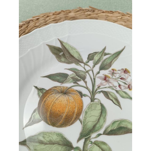 China Dinner Service with a Botanical Print attributed to Munting Abraham from Richard Ginori, 1980s, Set of 30 For Sale - Image 11 of 18