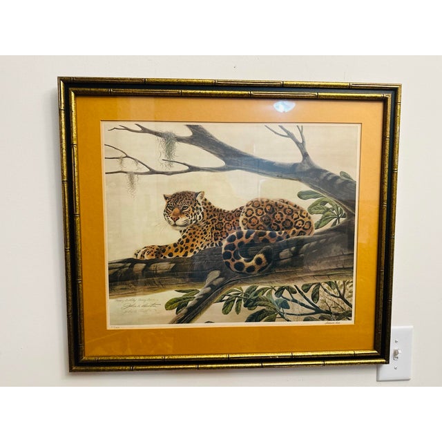 Vintage Leopard Signed Lithograph, Framed For Sale In Charleston - Image 6 of 8