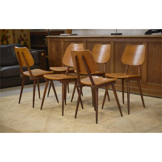 Brown Vintage Chairs in Oak, 1960s, Set of 6 For Sale - Image 8 of 13