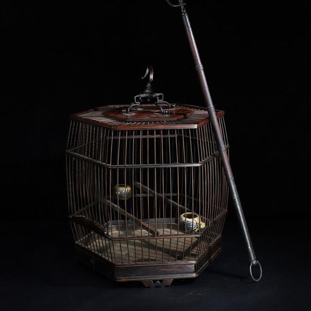 Dimensions (Cage): Height 42cm (16.54") x Diagonal Length 30.5cm (12.01") x Width 27cm (10.63") Dimensions (Pole): Length...