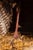 Full-Body Wild Turkey Taxidermy Mount in Strutting Display For Sale - Image 4 of 9