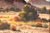Blue Desert Landscape Painting by Beverly Carrick (Born 1930) For Sale - Image 8 of 12
