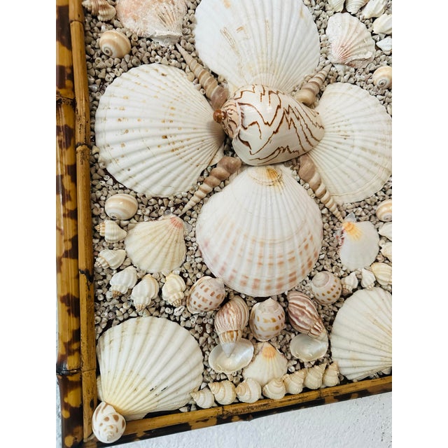 Antique Cane and Bamboo Panel With Shells For Sale In Charleston - Image 6 of 8