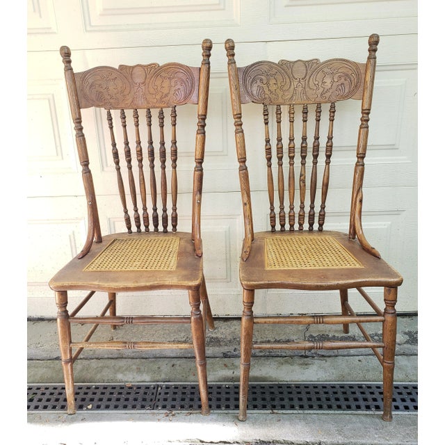 1950s Vintage Oak Press Back Chairs With Cane Seats - a Pair For Sale - Image 5 of 6