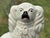 19th C. Staffordshire Porcelain Spaniel Dog Figurine - 10" Tall For Sale - Image 4 of 8