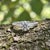 Mid 20th Century Mid-Century Platinum .94 Carat Old European Cut and Tapered Baguette Ring, Size 4.5 For Sale - Image 5 of 5