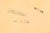 Mid-Century Modern Thomasville Burl Wood Square Dining Table With 2 Leaves For Sale - Image 3 of 18