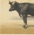 19th Century After Charles Olivier de Penne, Dutch Dairy Cow, Black and White Cattle, 1863, Chromolithograph For Sale - Image 5 of 9