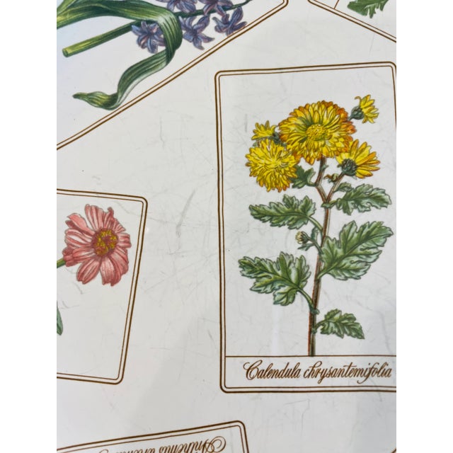 1990s Discontinued Tiffany "Botanical" Floral Plate - 1996 For Sale - Image 5 of 5