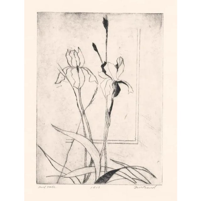 Traditional David Baird Still Life Etching of Iris For Sale - Image 3 of 3