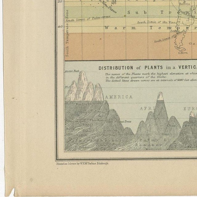 Antique Chart of the World, 1870 For Sale - Image 9 of 12