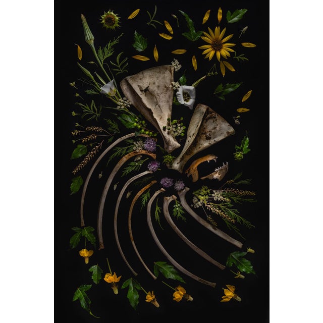 Offering by Jenya Chernoff | Giclée print on fine art paper featuring bones and flowers arranged artistically For Sale