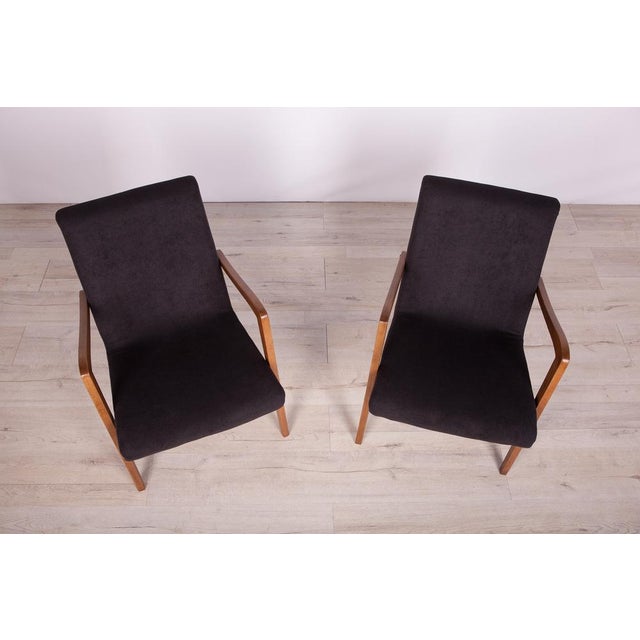 Set of Type 300-138 Beech Armchairs from Bystrzyckie Furniture Factory, 1960s For Sale - Image 4 of 18