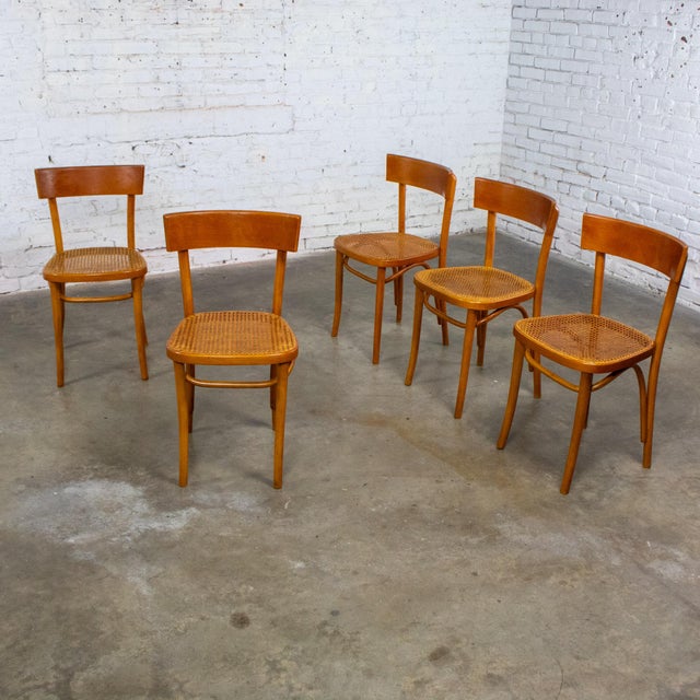 Mid to Late 20th Century Bauhaus Beech Bentwood Dining Chairs W/Cane Seats by Thonet Set of 5 For Sale - Image 12 of 18