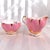This is a Queen Anne (England) Bone China sugar bowl and creamer in bright pink and gold with a floral design on the...
