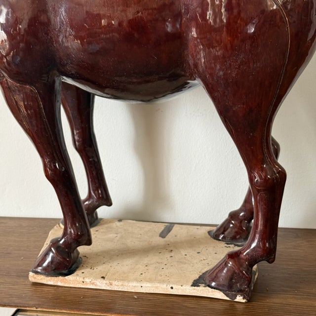 Brown Antique Tang Sancai Terracotta Horse in Brown Glaze - Exquisite Form and Detail For Sale - Image 8 of 10