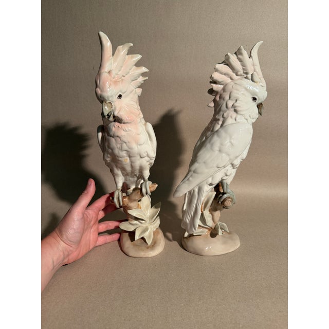 Very Large Royal Dux Porcelain Pair of Cockatoos For Sale - Image 9 of 11