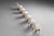 Vintage Dining Chairs by Melchiore Bega, Italy, 1950, Set of 6 For Sale - Image 15 of 18