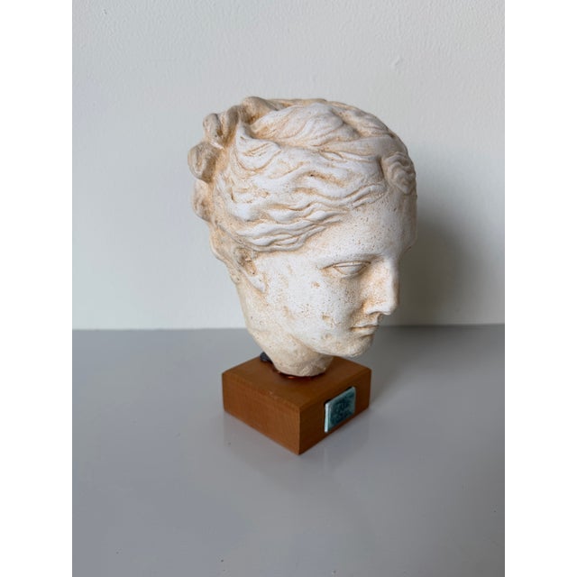 Vintage Handcrafted Hygieia Greek Goddess Plaster Bust Sculpture on Wood Base For Sale - Image 10 of 12