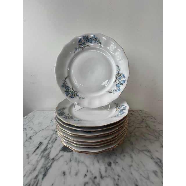 Blue Karolina Porcelain Bluebell Floral Dinner Plate - Set of 10, Poland For Sale - Image 8 of 8