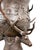 Bronze Stag Urns Large Garden Planters Antlers 4ft, Set of x For Sale - Image 3 of 4
