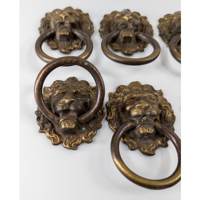 Brass Early 20th Century Set of 8 Lion Head Form Drawer Handle Pulls For Sale - Image 8 of 13