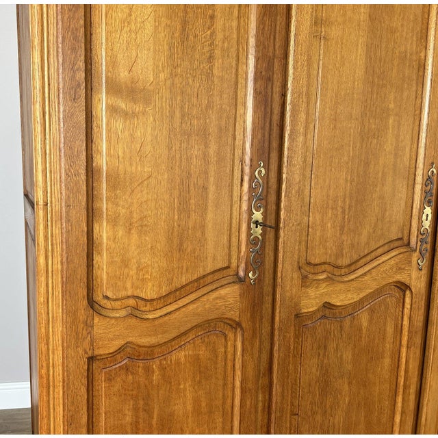 Vintage French Louis XVI Style Wardrobe in Oak For Sale - Image 5 of 11