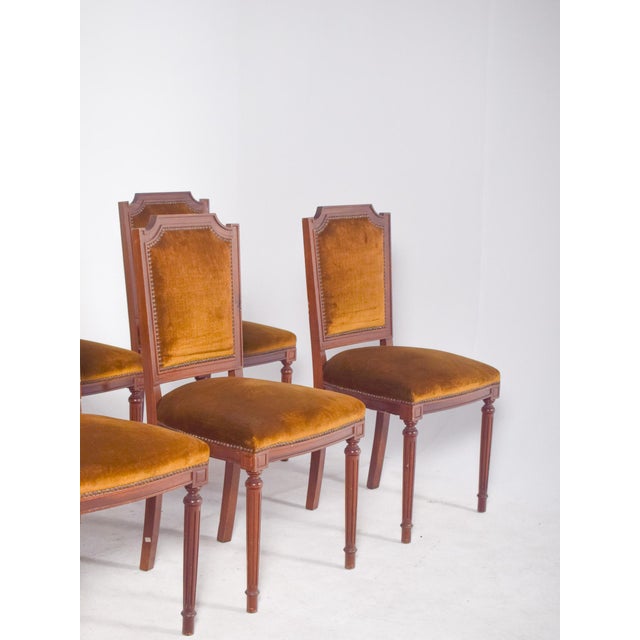Portuguese Dining Chairs, 1950s, Set of 8 For Sale - Image 6 of 12
