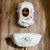 Rare Vintage Kohler Alouette Artist Edition Sink Basin & Cistern K-3035 & K-3036 French Country Farmhouse For Sale - Image 11 of 12