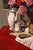 Paper 1925 Vintage Coffee Painting Art Print, Floral Still Life by Félix Vallotton - 36" X 48" For Sale - Image 7 of 9