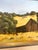 Mid 20th Century Richard Danskin Original Oil Painting Horse Farm Barn Rustic Landscape Carmel California For Sale - Image 4 of 12