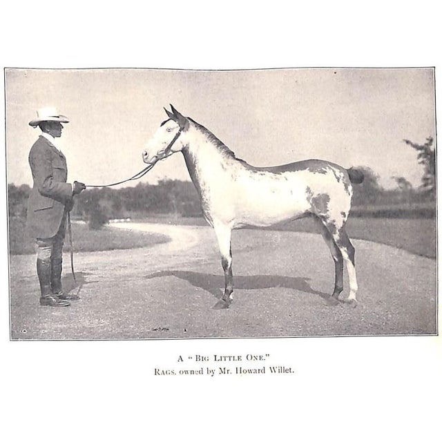 White "Our Noblest Friend the Horse" 1903 Ware, Francis M. For Sale - Image 8 of 10