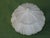 Vintage Light Shade Frosted Glass Empire For Sale - Image 9 of 11