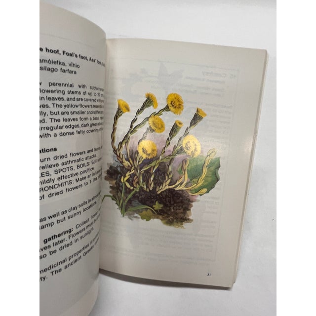 Black Vintage Ancient Greece Book Set/4 For Sale - Image 8 of 10