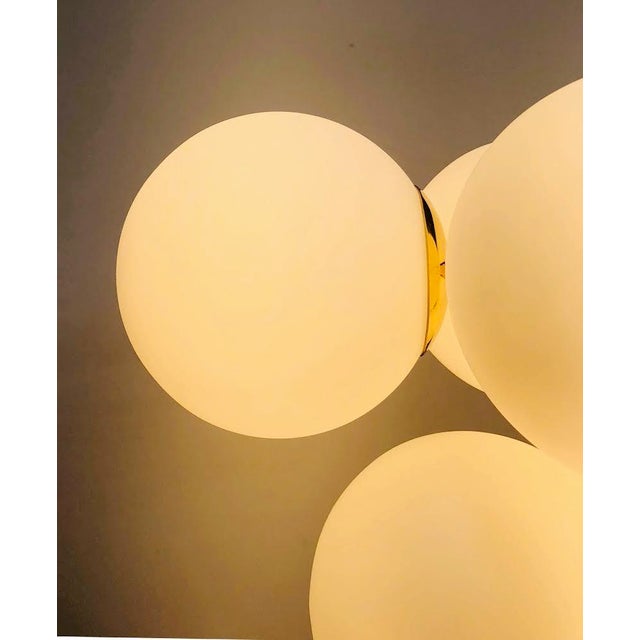 21st Century Italian Grappolo Polished Brass Matte White Murano Glass Chandelier by Fabio LTD For Sale - Image 6 of 6